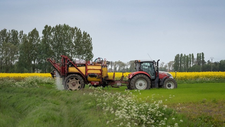 Banca Mondială sprijină agricultura inteligentă din punct de vedere climatic