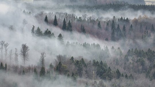 Alerte de viscol în mai multe zone montane;informare de lapoviţă şi ninsori în majoritatea regiunilor, până sâmbătă dimineaţa