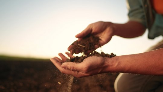 Poate fi asigurată securitatea alimentară a Europei de mâine?