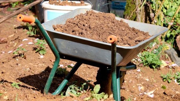 Pași esențiali în grădinărit: Sfaturi de pregătire a solului pentru renașterea recoltei de primăvară