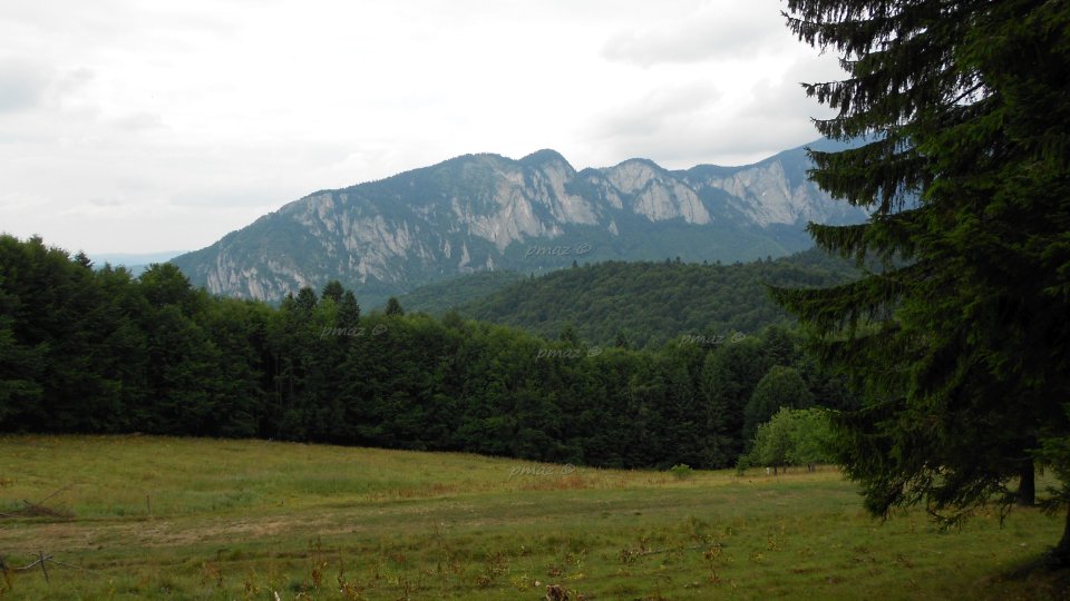 O turistă și-a pierdut viața în Masivul Piatra Craiului, poliția investighează cazul