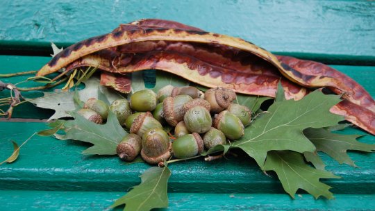 Toamna blândă continuă până la final de octombrie, apoi vine răcirea