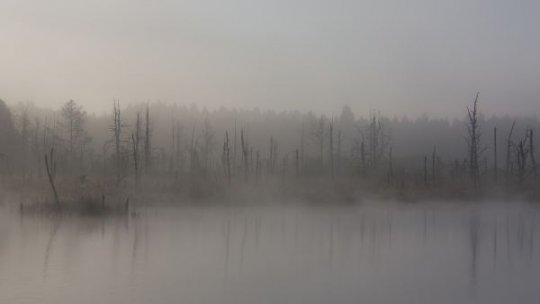 Un bărbat dispărut în octombrie a fost găsit mort în cariera Pinoasa