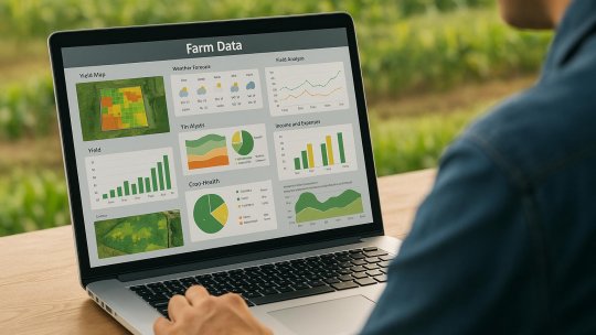 Big Data în agricultură: decizii informate pentru recolte mai bogate