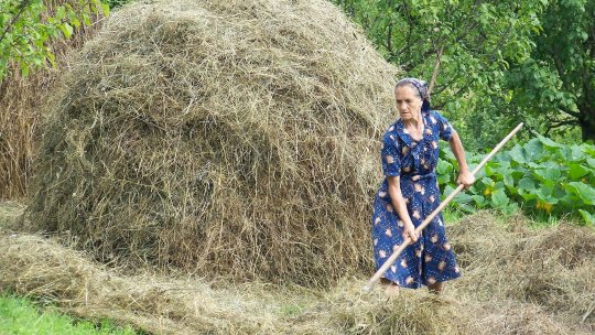 Provocări majore pentru fermierii români, într-un an dominat de secetă și prețuri fluctuante