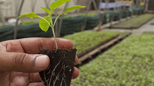 Progrese în practicile de producție, inclusiv în biotehnologie