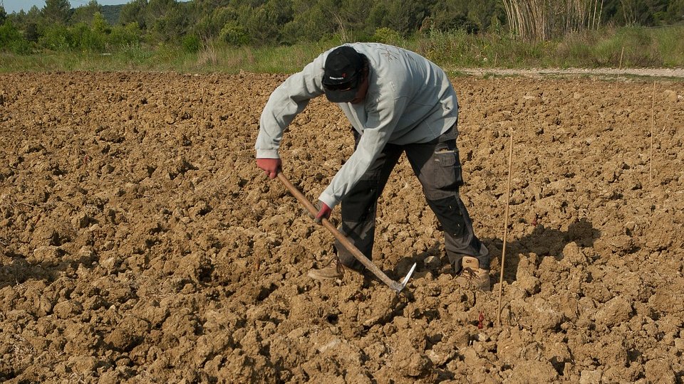 Impactul agriculturii asupra mediului; practici durabile