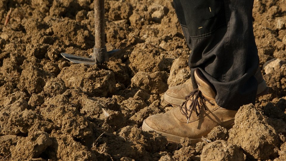 15 moduri de a stăpâni vocabularul agricol