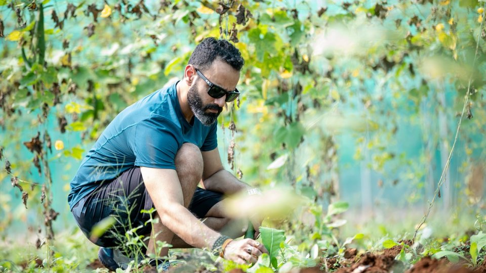 Noi meserii în agricultura durabilă