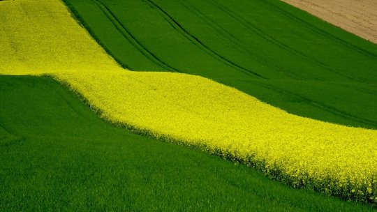 Considerente de luat în considerare atunci când căutați terenuri agricole