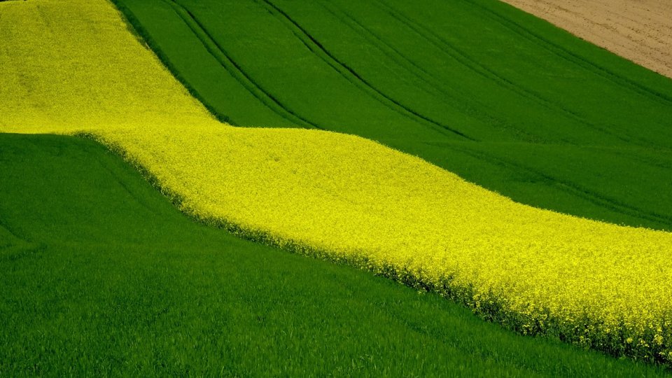 Considerente de luat în considerare atunci când căutați terenuri agricole