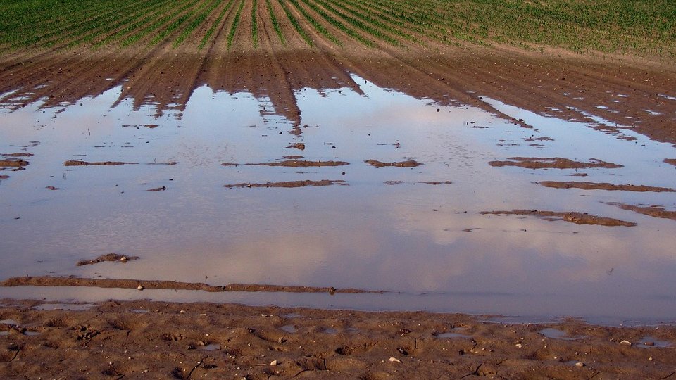 Cauze ale pierderilor de nutrienți agricoli