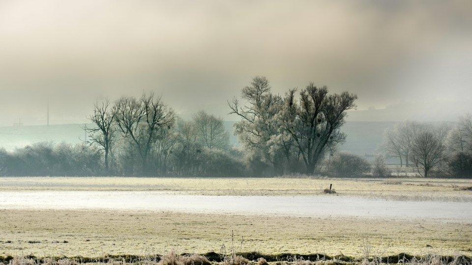 Strategii de reducere a poluării din sistemele agricole