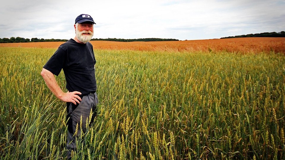 Ce face un specialist în agricultură?