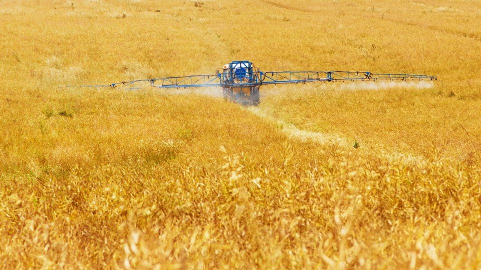 Agricultură extensivă: Descoperirea bogăției naturii