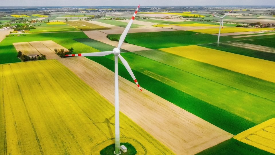 Impactul asupra mediului al agriculturii extensive