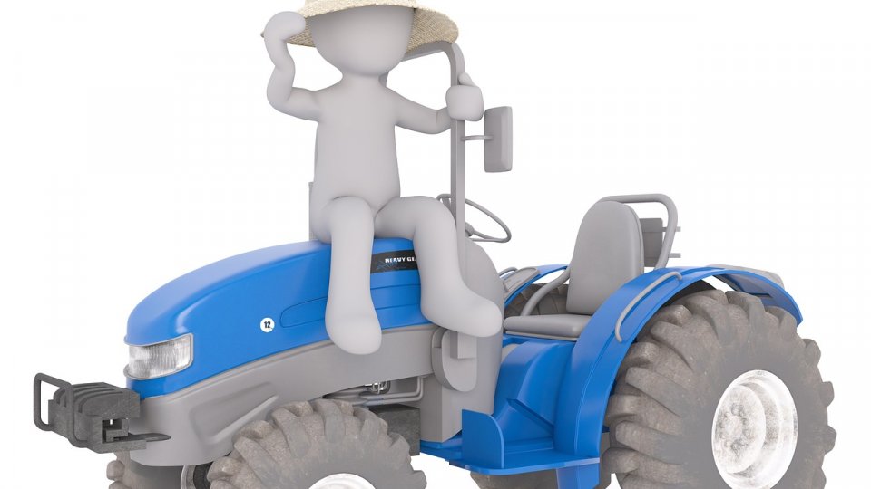 Pictogramele sau iconografia în agricultură