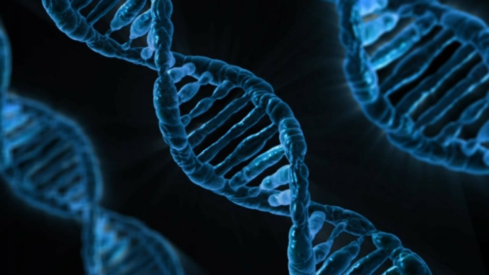 „Cum să citim Codul Genetic” - proiect susţinut de UMF Craiova pentru depistarea bolilor rare