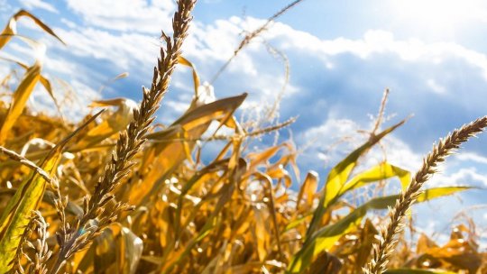 Radioul, o sursă de informare rapidă și accesibilă în lupta cu schimbările climatice