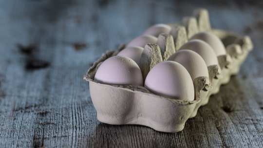 Explozia preţurilor la ouă a stimulat cererea pentru alternative vegane produse pe bază de fasole Mung