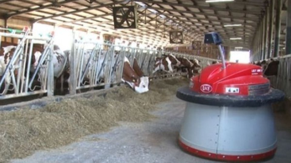 Viitorul agriculturii: Roboții muncesc în fermele românești. De la o mică exploatație la o fermă ultramodernă