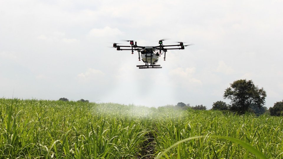 Agricultura și alimentația în România, provocări și perspective
