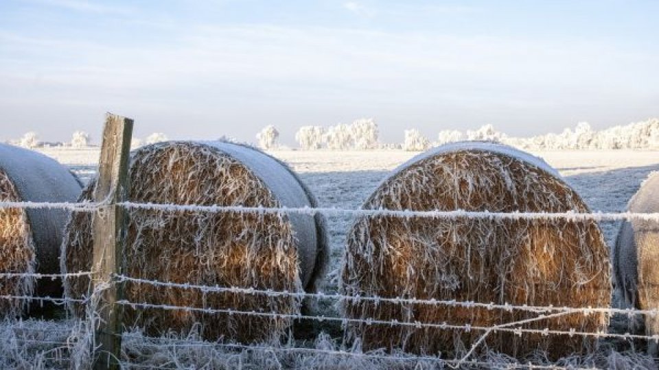 Fonduri europene pentru agricultură: APIA a autorizat plăți de aproape 638 milioane de euro