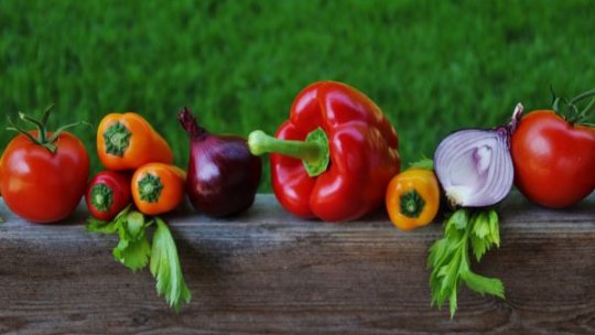 Agricultura bio din România, între provocări și oportunități