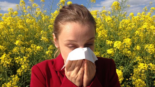 Alergia: desensibilizarea în 7 puncte cheie