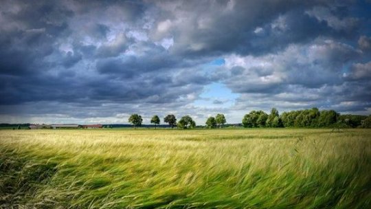 Agricultorii brăileni dau startul campaniei de primăvară cu culturi de toamnă bine dezvoltate