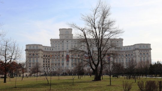 „Epidemia de droguri în şcoli şi licee”, în discuție la Senat