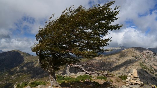 Cod portocaliu de vânt puternic în zona montană a judeţelor Caraş-Severin şi Hunedoara