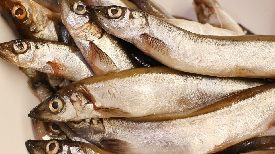 Verificări în magazine de peşte, abatoare, carmangerii, brutării, patiserii, restaurante, supermarketuri şi pieţe agroalimentare