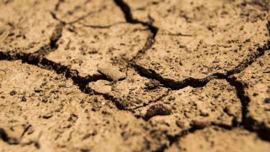 În România, 11 milioane de hectare de teren riscă să devină aride, iar alte 7, 5 milioane riscă să devină deşert