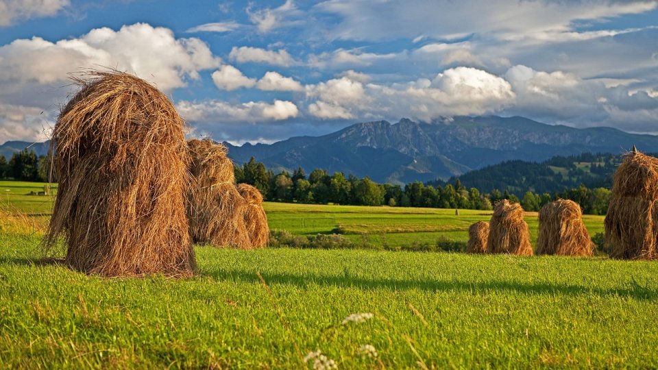 Îi vor putea supravieţui agriculturii moderne căpiţele gigantice care se clădesc de veacuri în România?
