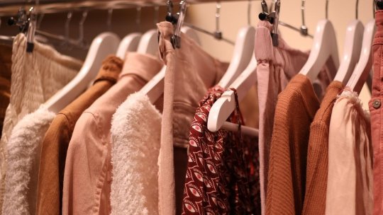 Uită de naftalină: Produsul natural care protejează dulapul de molii şi miroase plăcut