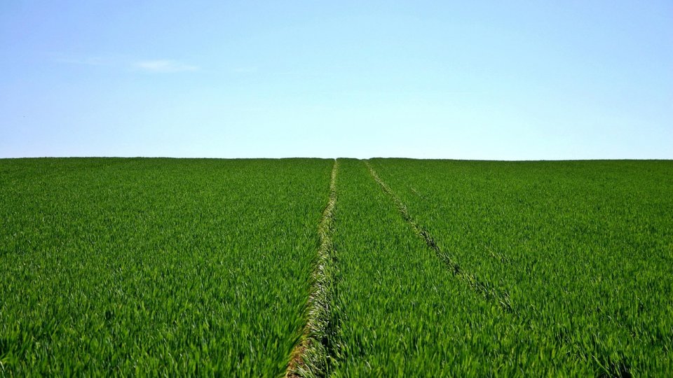 ANM:Procesele de dezvoltare ale culturilor de primăvară se vor desfăşura mai lent în zonele depresionare în nord şi centru