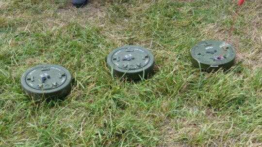 Locuitorii unei comune din Caraș-Severin au alertat autoritățile după ce au găsit grenade neexplodate
