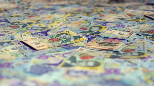 România ar putea să-şi reducă substanţial deficitul prin valorificarea eficientă a propriilor resurse