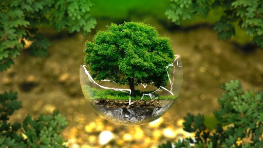 Cea mai mare ecologizare de pe Via Transilvanica