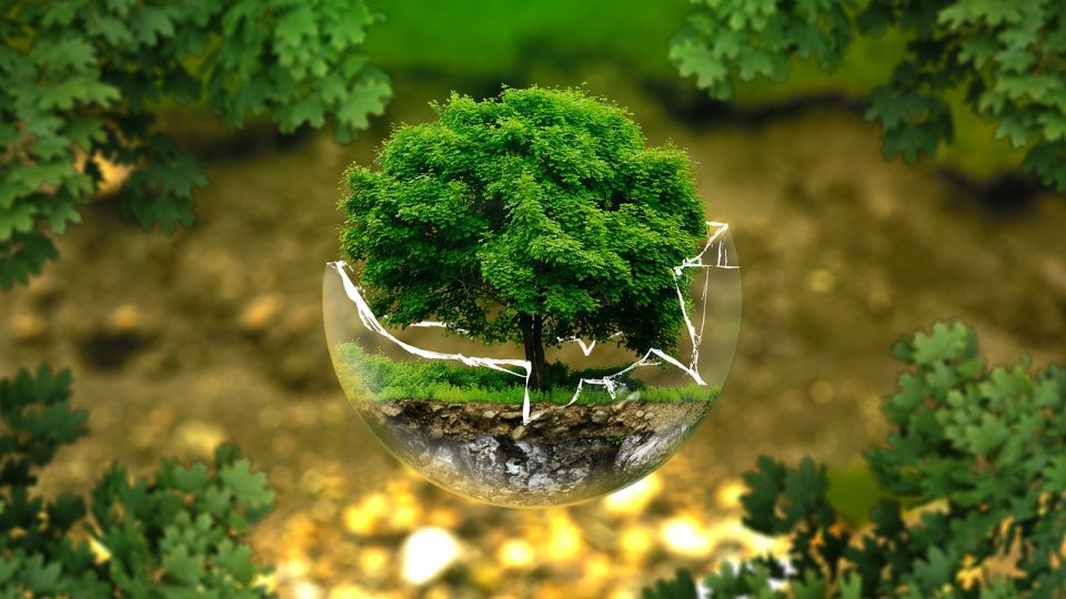 Cea mai mare ecologizare de pe Via Transilvanica