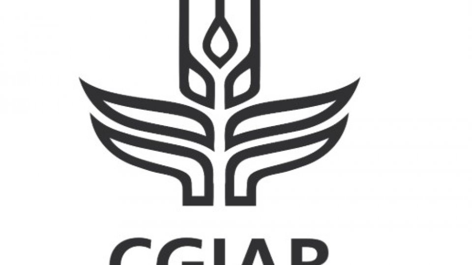 Impactul agriculturii 4.0