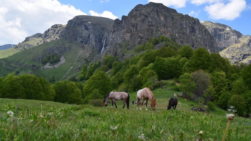 Regiunile montane și rolul lor în păstrarea biodiversității și a solului