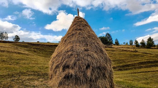 Depopulate după colectivizare, două sate vecine din Podişul Târnavelor primesc o nouă şansă