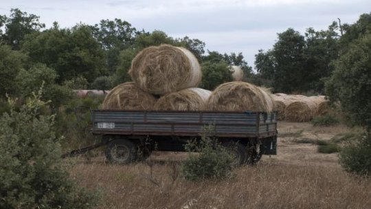 Peste 708.000 de cereri pentru subvenții agricole, depuse în acest an