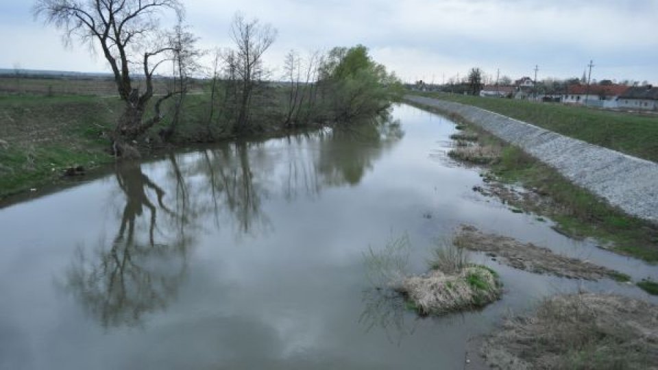 Râul Târnava Mică, sufocat de salinitate extremă, la Blaj