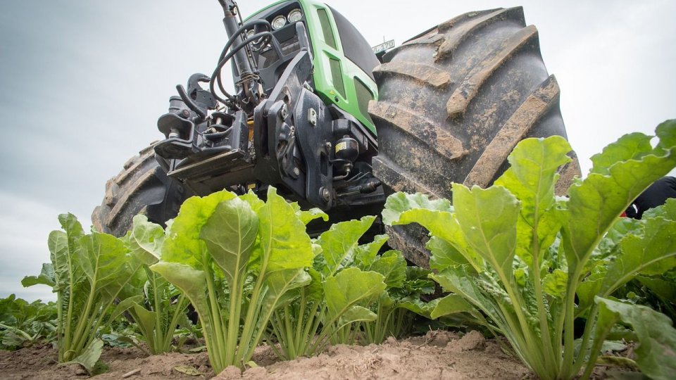 Fermierii pot primi sprijinul cuplat după ce APIA a demarat autorizarea plăților Campaniei 2024