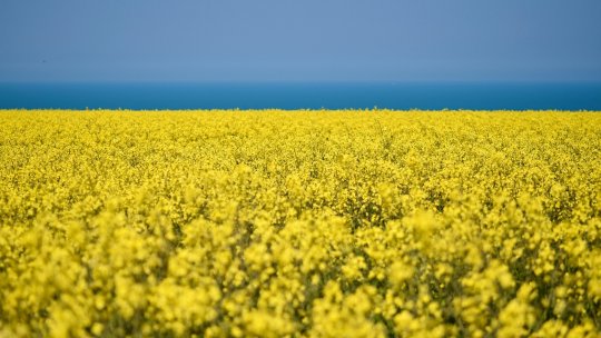 Agricultorii ar putea avea anul acesta recolte peste media ultimilor ani