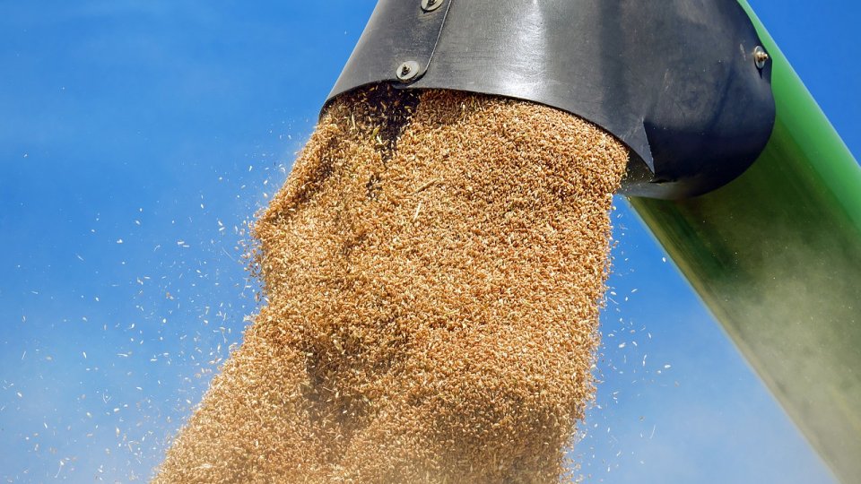 Ucraina a primit puţine reclamaţii privind calitatea cerealelor exportate