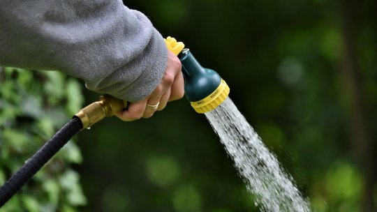 Irigarea corectă, pe timp de secetă, a grădinii de legume
